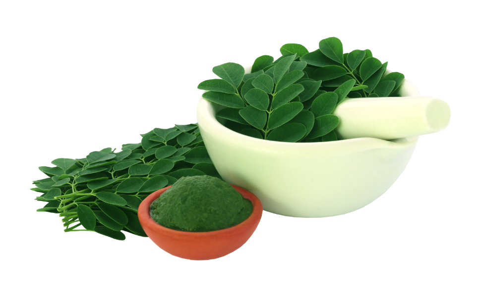 Moringa Powder